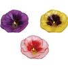 Floating Mini Pansy Candle