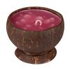 Scented Beeswax Coconut Candle - Plumeria